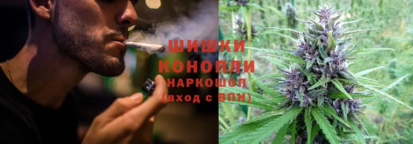 сатива Абдулино